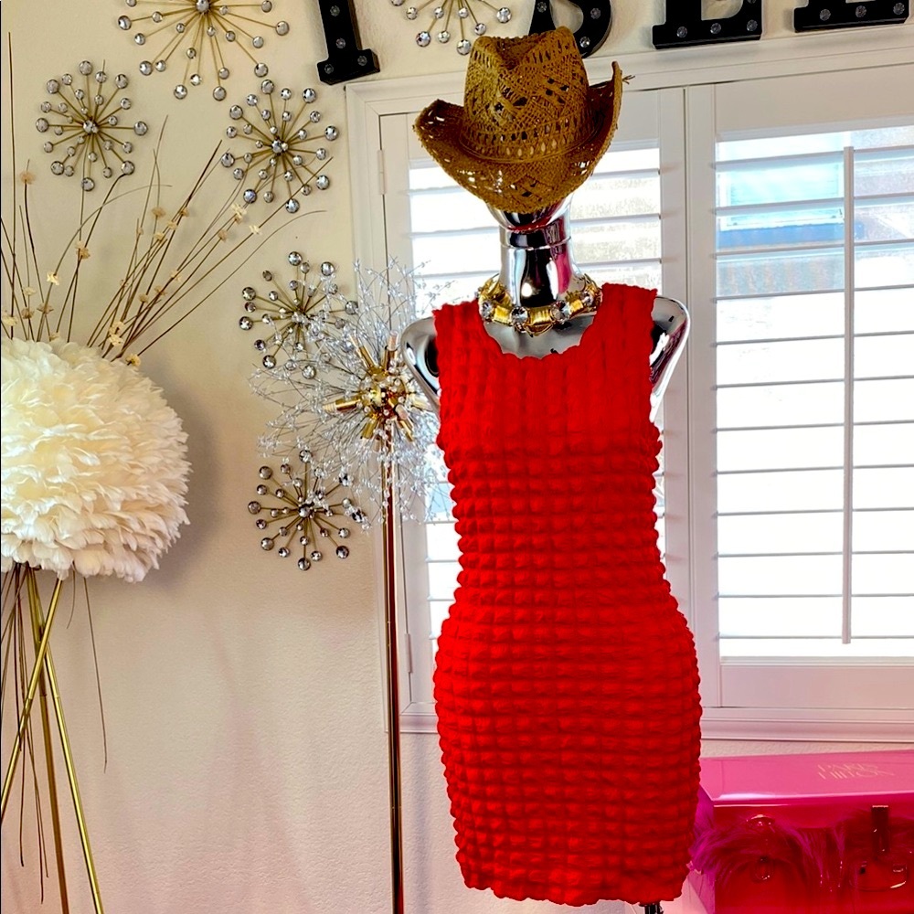 Red Hot Grid Textured  Dress